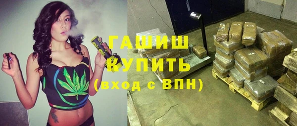 твердый Новозыбков