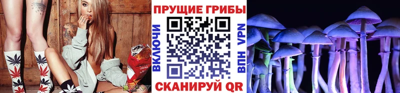 площадка официальный сайт  Шелехов  Галлюциногенные грибы Magic Shrooms 